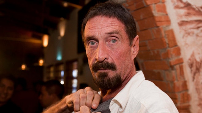 McAfee Lawyer Stay.jpg